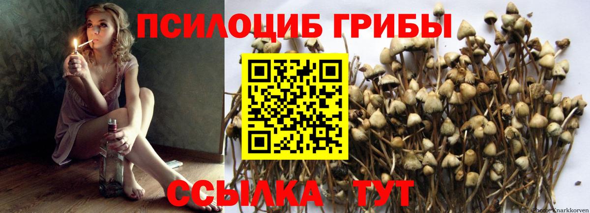 Галлюциногенные грибы GOLDEN TEACHER Нерюнгри