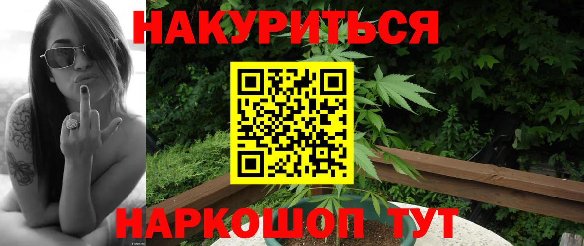 Конопля гибрид Нерюнгри